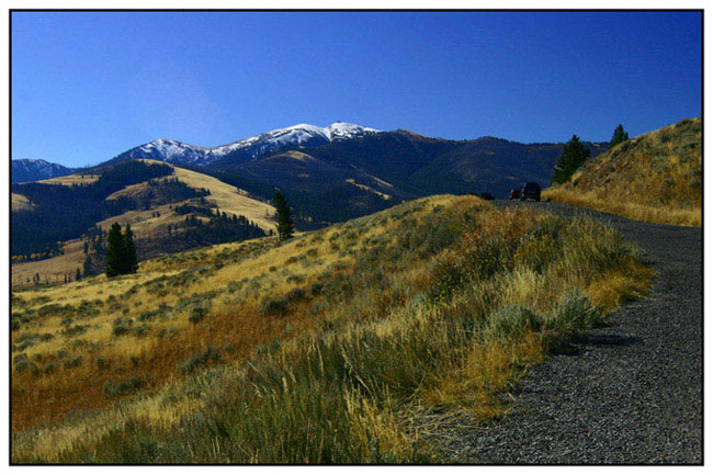 Yellowstone