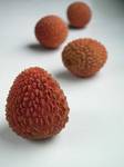 litchi