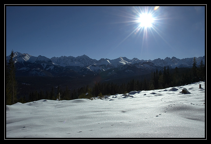 Wszystkie tropy prowadzą w Tatry