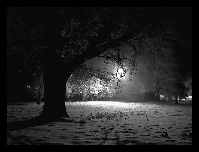 Park nocą