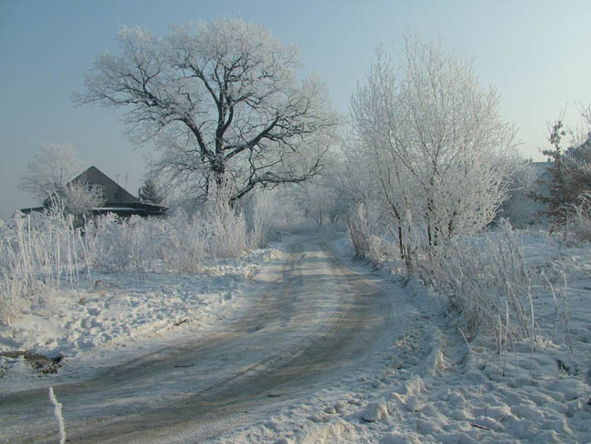 zima na Ruczaju II