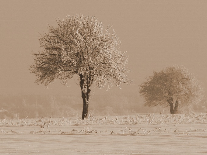 obok nas