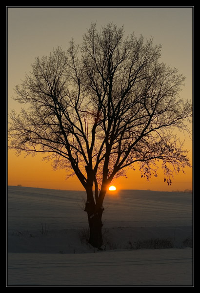 i jak tu nie być wdzięcznym naturze :)