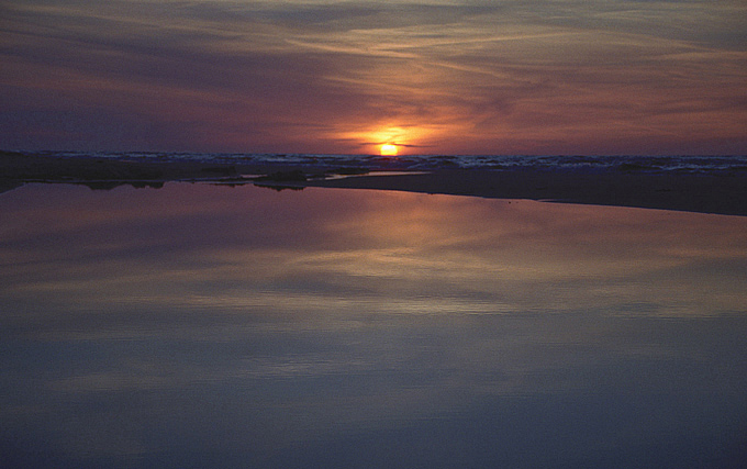 karwieńskie błota