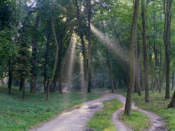 Piechotą do lata ;-)