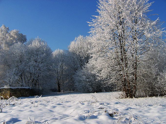 Pogodny styczeń