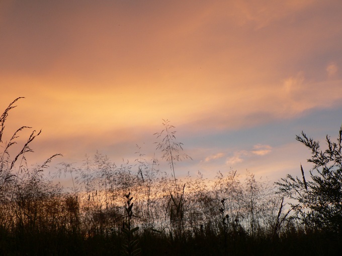 Bieszczady