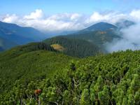 Tatry