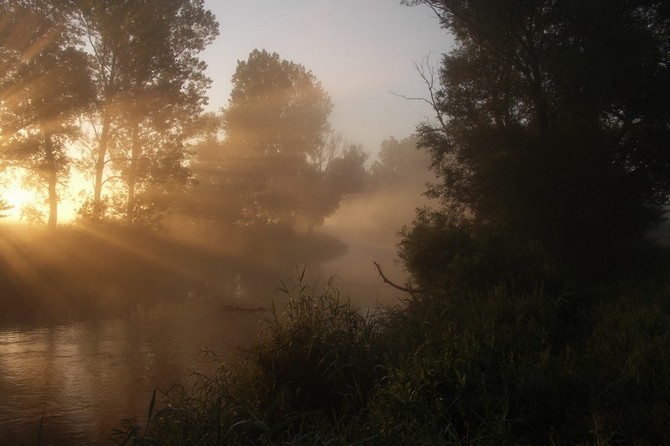 Poranek nad Wieprzem