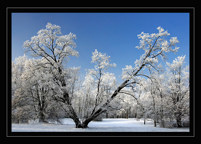 Zima "stulecia"