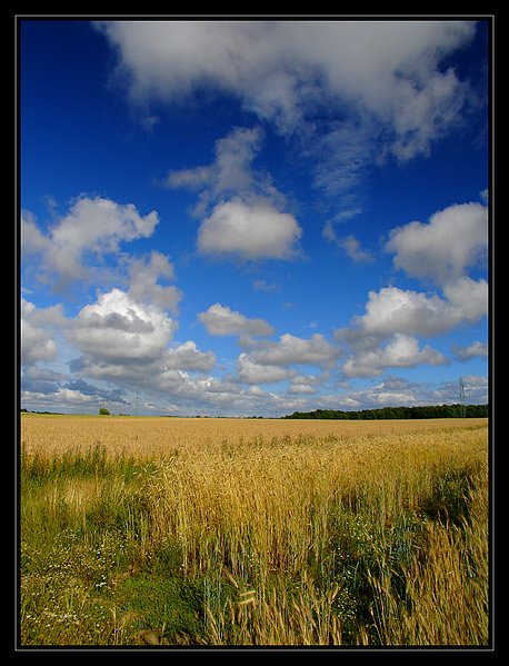 letnie wspomnienia