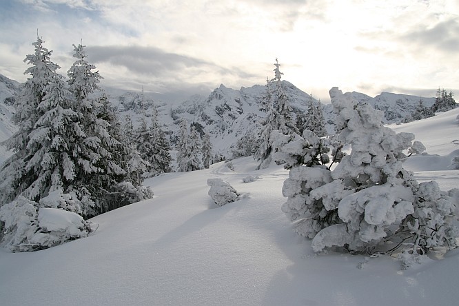 TATRY