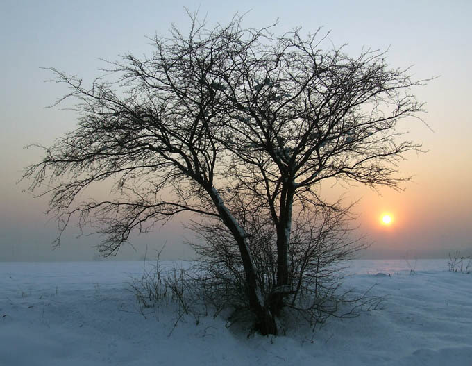 kolejny śnieżny zachód