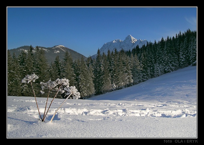 Giewont