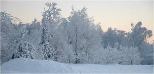 -25 a aparat nadal dziala...