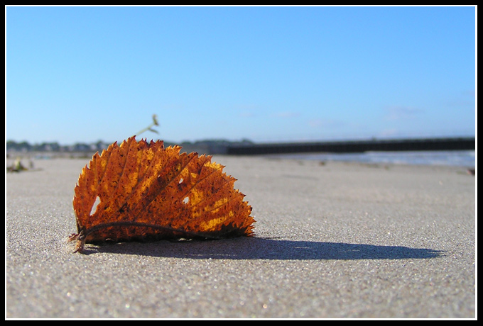 Plażowanie - odsłona 2...