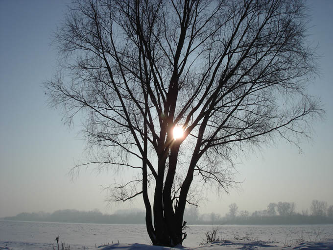 ..słoneczna mroźna zima..