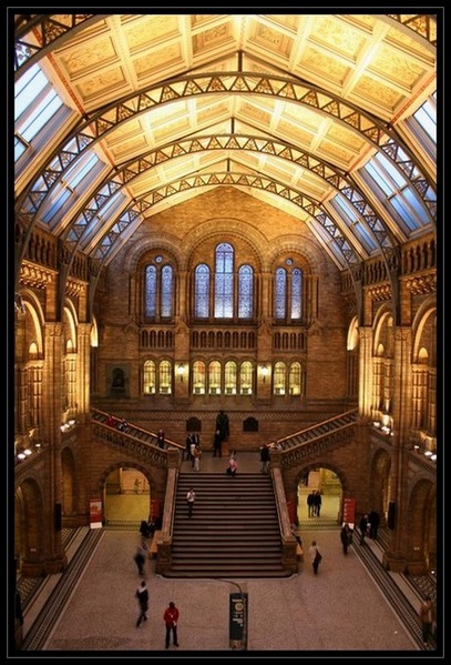 Muzeum Historii Naturalnej w Londynie