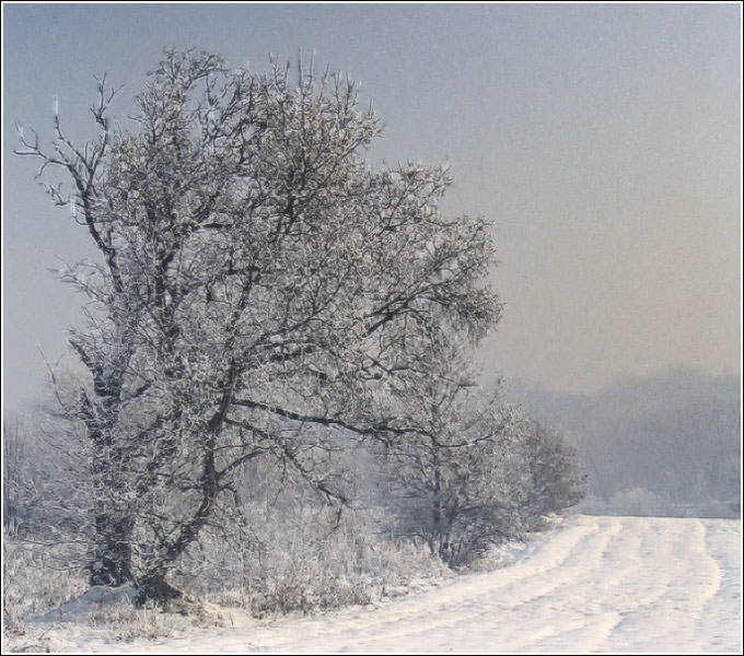 pejzaż zimowy