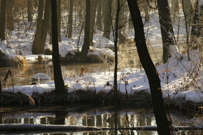 Niebieskie Źródła - Tomaszów Mazowiecki zimą