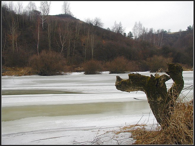 strażnik