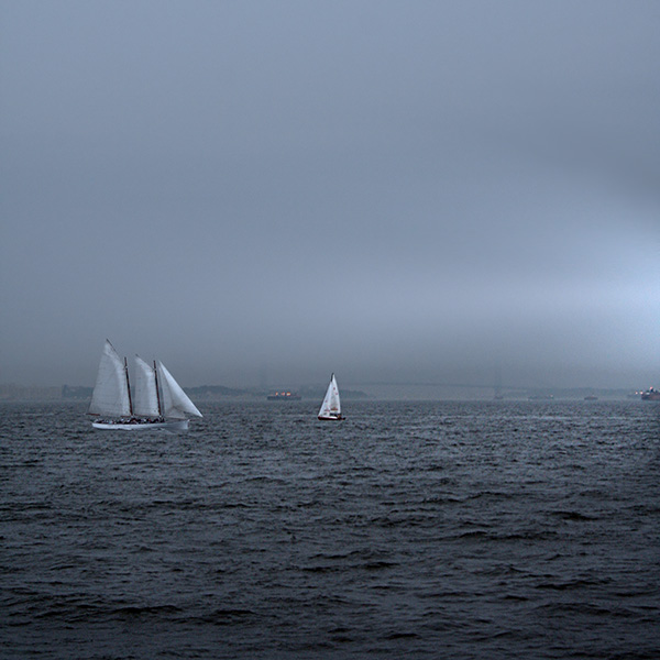 Fog Voyage II