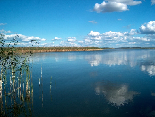 Spokój