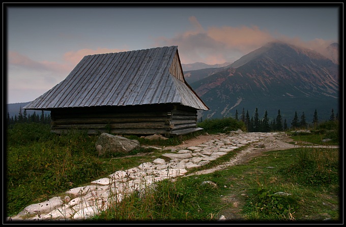 Hala Gąsienicowa