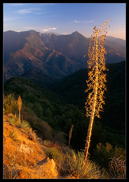 king&#039s canyon