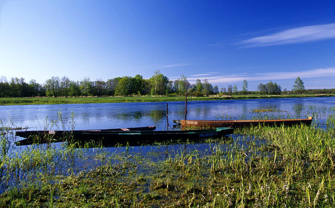 Narew - Krzewo