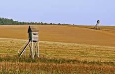 All Along The Watchtower