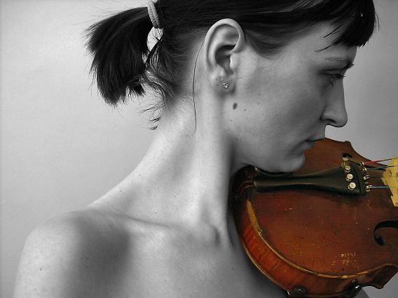 Violinis XVI