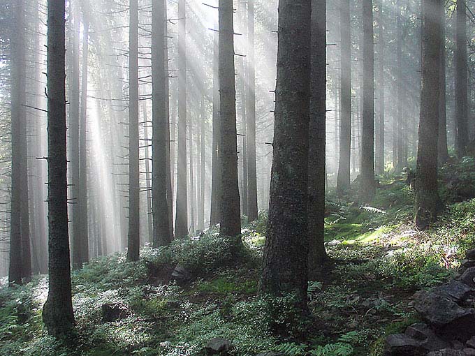 Tatry