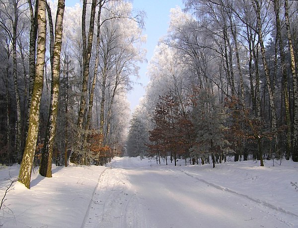 W styczniowym słońcu