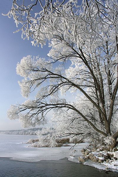 Zima... trzyma...