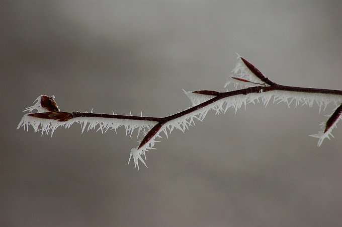 zimne ostrza