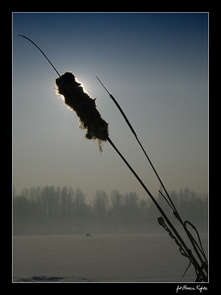 zimową porą pokazana