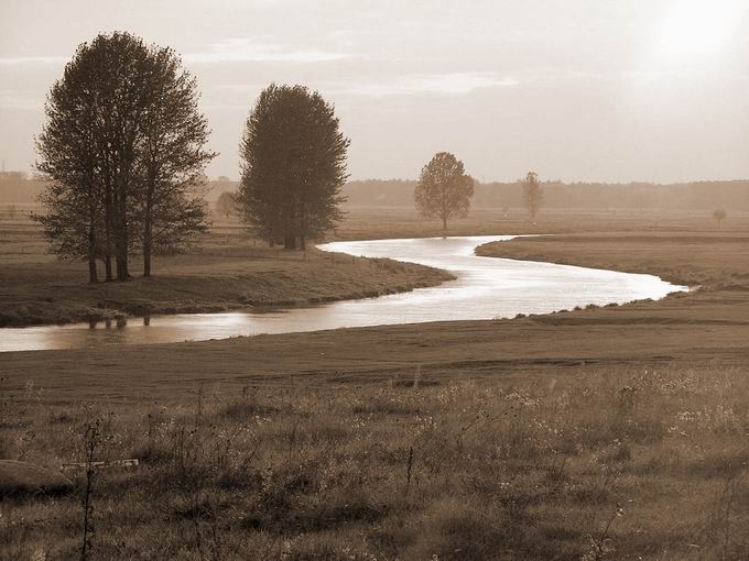 gdzieś nad Narwią