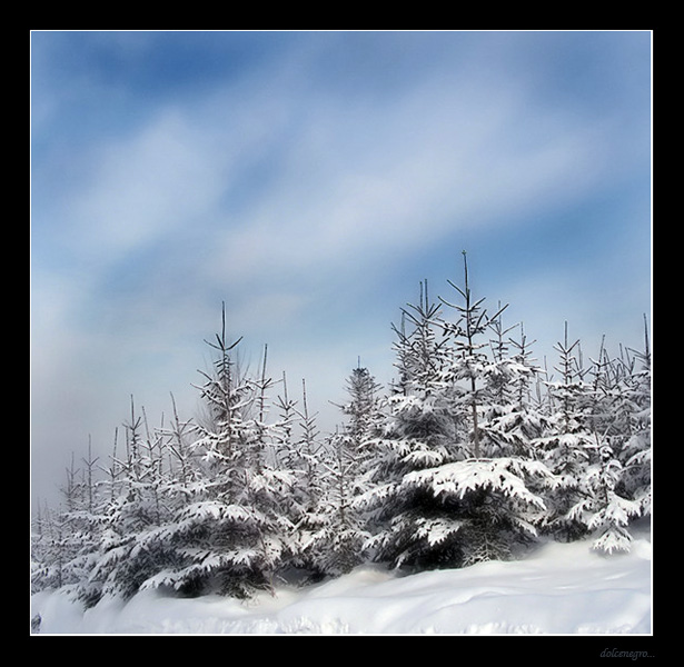 beskid śląski...