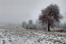 Zima na Nudnym Mazowszu