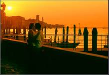 Amores Venezius