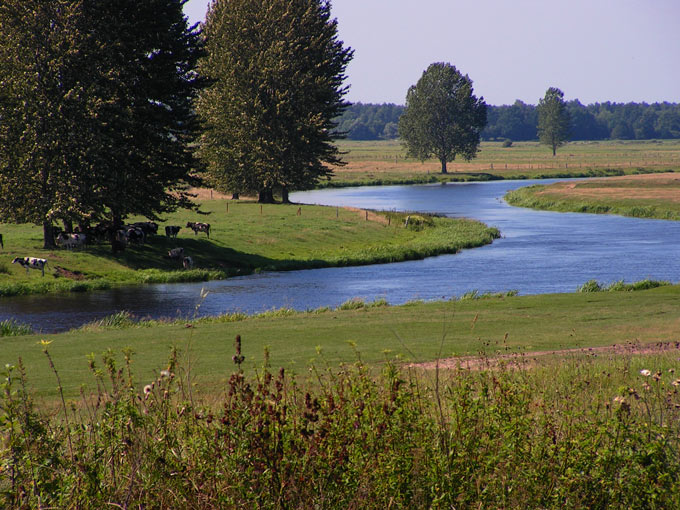 TYKOCIN-GUGNY-GONIĄDZ 154 21.08.05