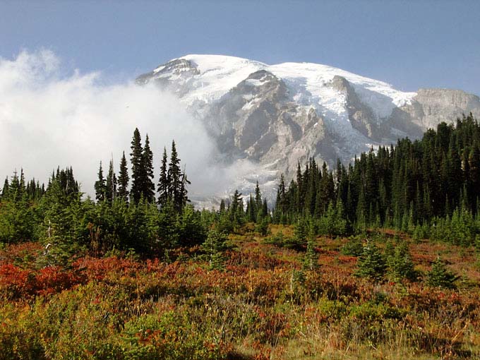 Mt. Rainier