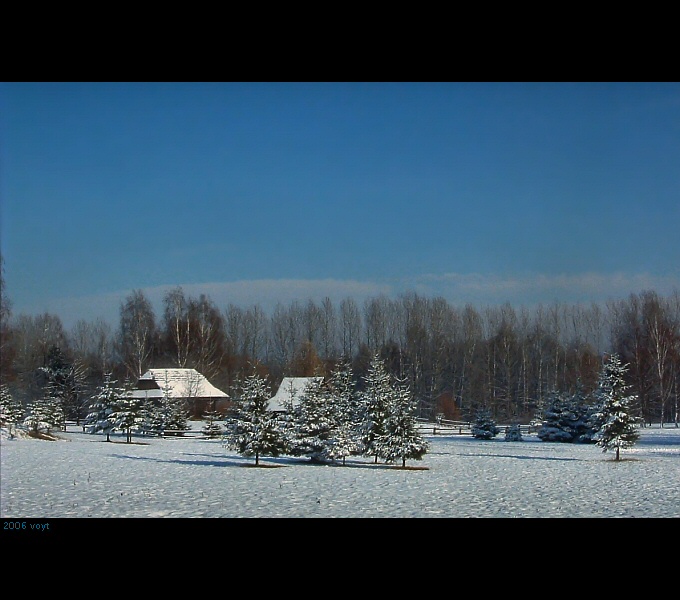 Misiowa kraina śniegiem okryta...