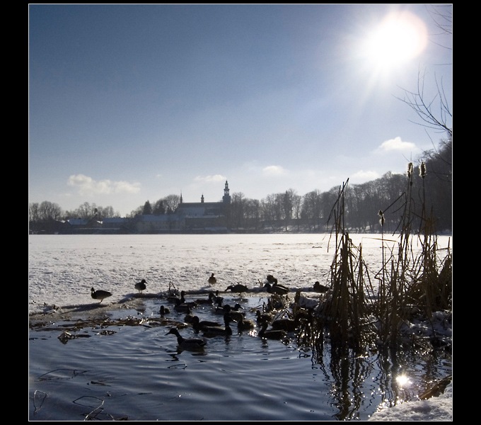 Kartuzy Zimą