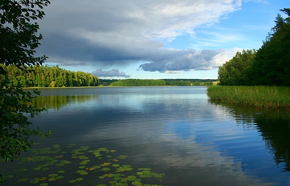 widoczek