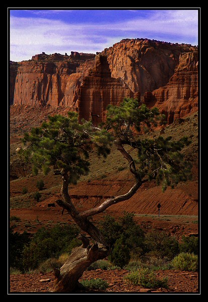 Capitol Reef Park