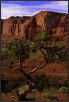 Capitol Reef Park