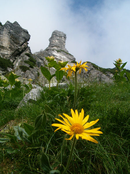 Kwieciste Tatry