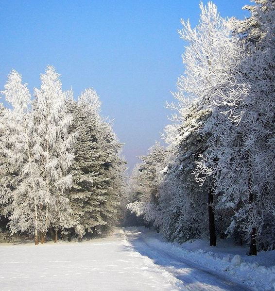 zima w świętokrzyskiem